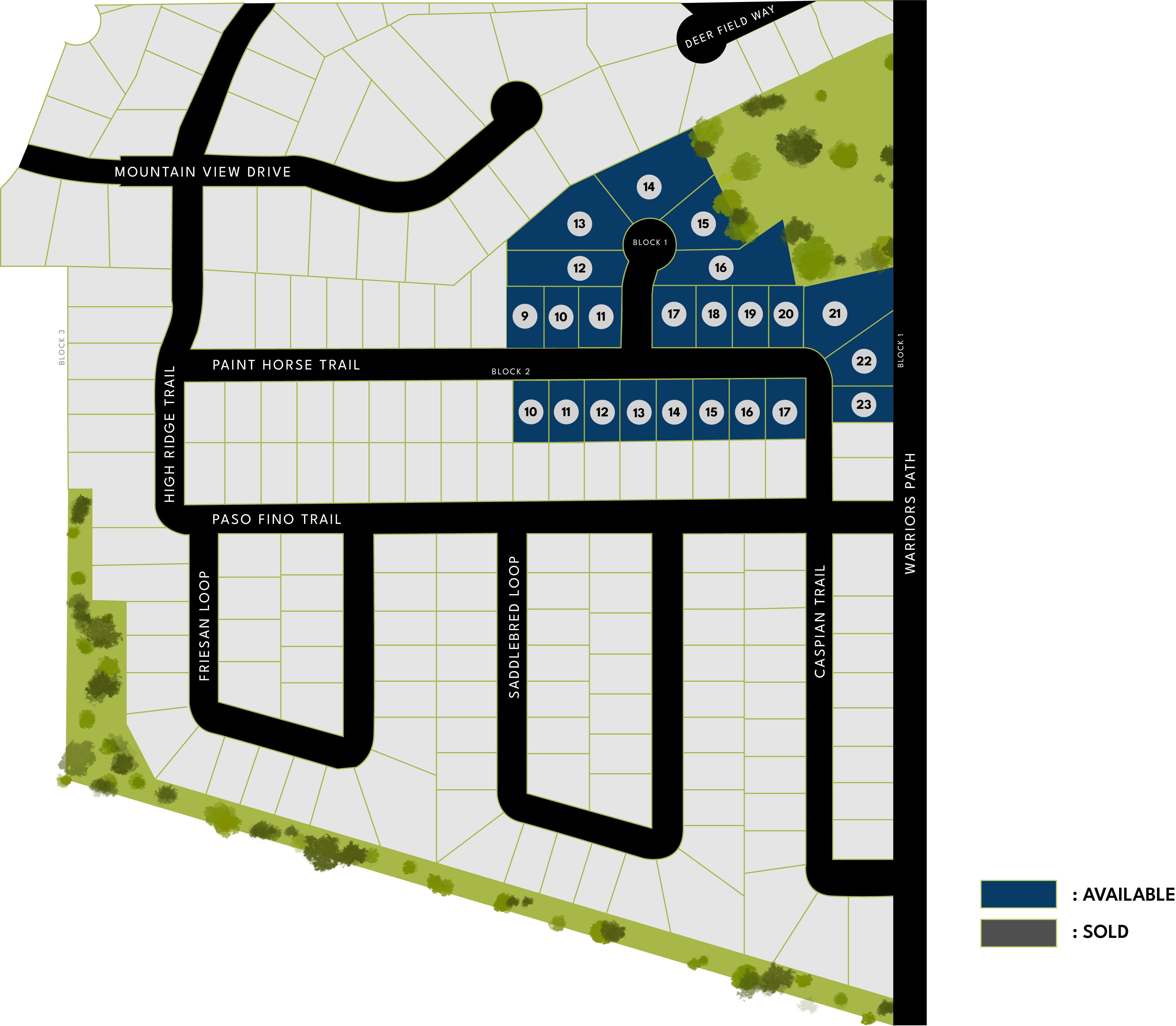 The Village at Nolan Heights Plat Map